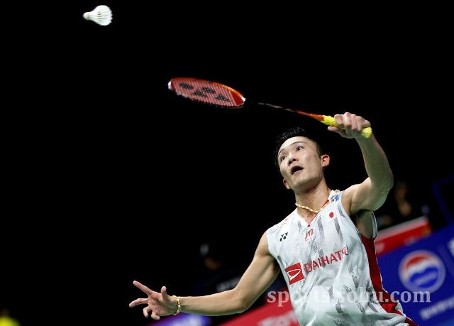 的回应与此 的回应与此